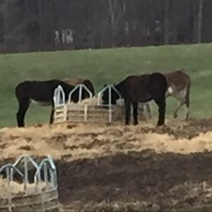 Meet your Posher, Jay